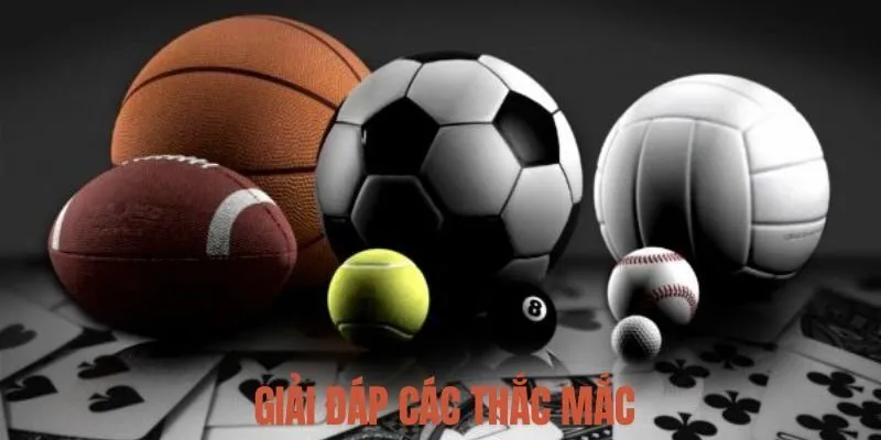 Giải đáp các thắc mắc bạn sẽ thường gặp khi tải ứng dụng